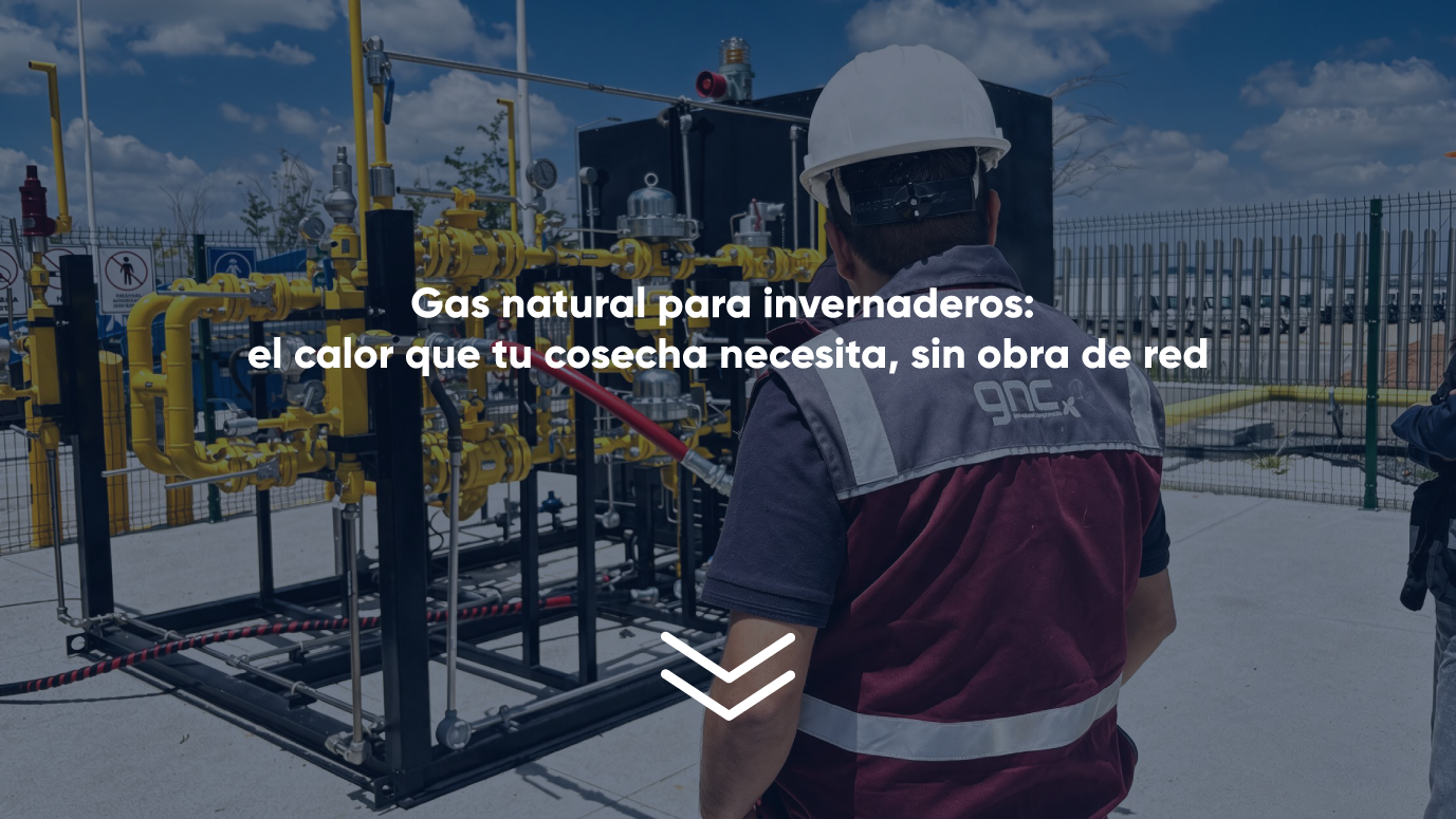Gas natural para invernaderos: el calor que tu cosecha necesita, sin obra de red